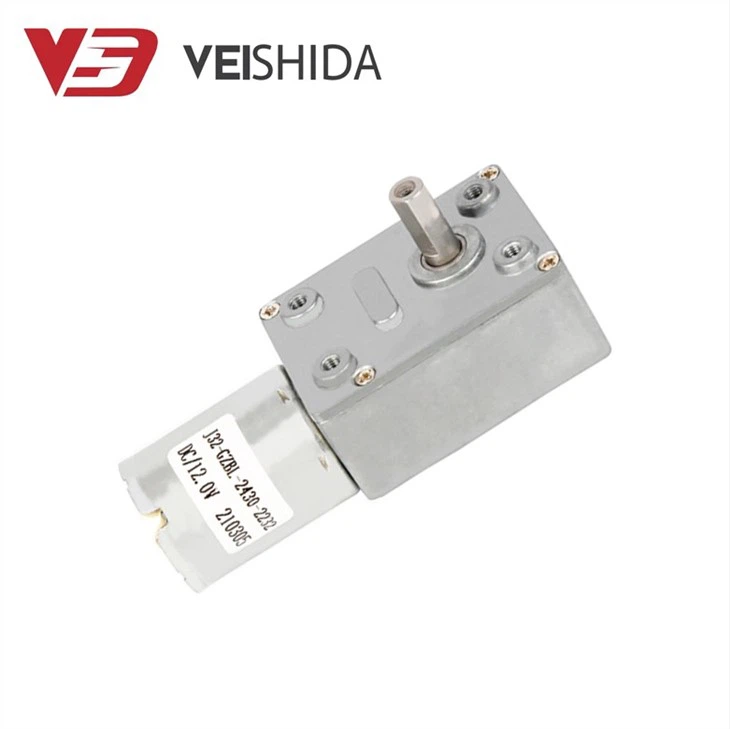 2430 Brushless DC Worm Gear Motor
