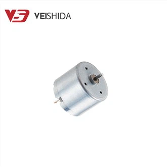 24 mm Micro Brush DC Dvigatel