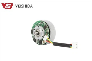 24v 3800 RPM Fascia Muscle Massage Gun Dvigatel